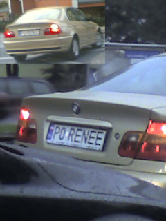 p0_renee.jpg