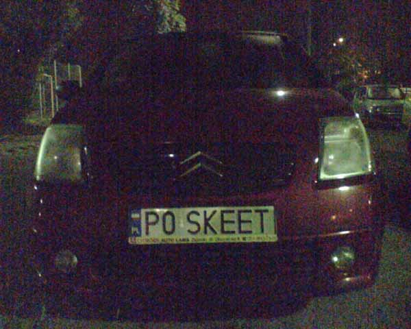 p0_skeet.jpg