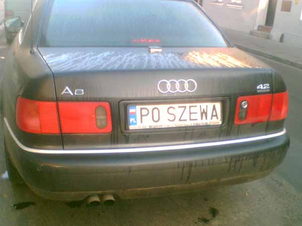 p0_szewa.jpg