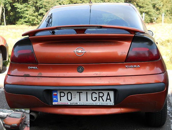 p0_tigra.jpg