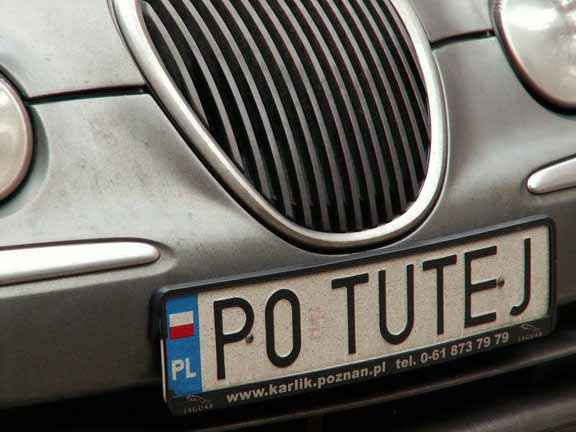 p0_tutej.jpg