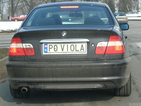 p0_viola.jpg