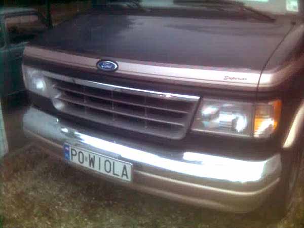 p0_wiola.jpg