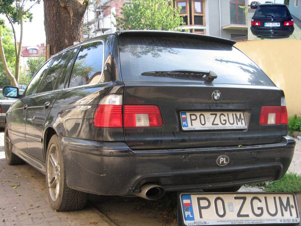 p0_zgum.jpg
