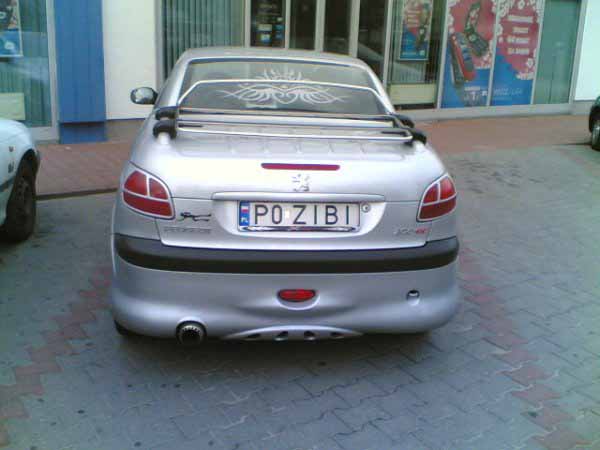 p0_zibi.jpg