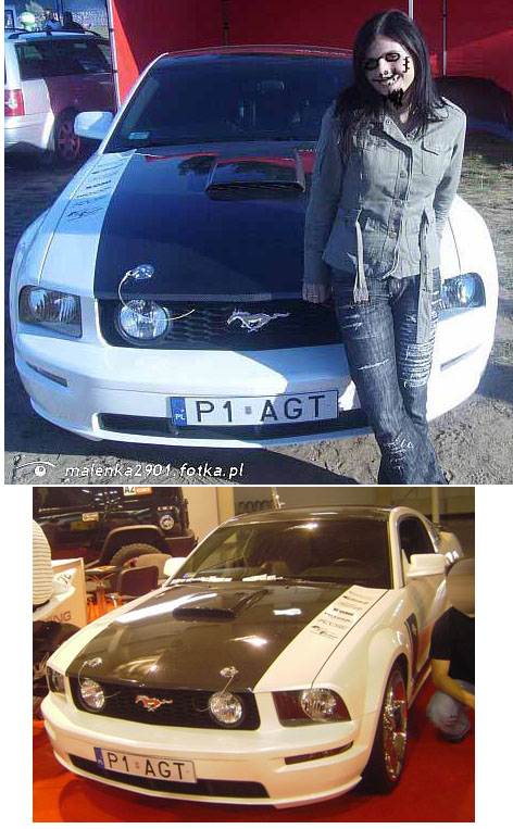 p1_agt.jpg