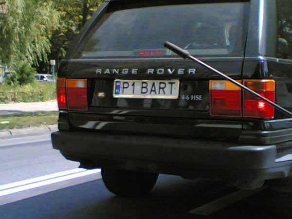 p1_bart.jpg