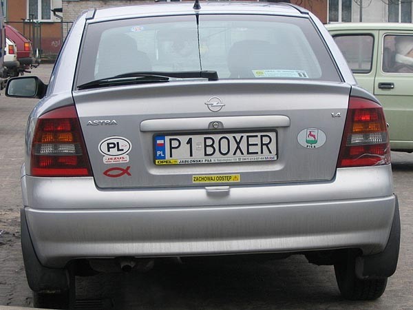 p1_boxer.jpg