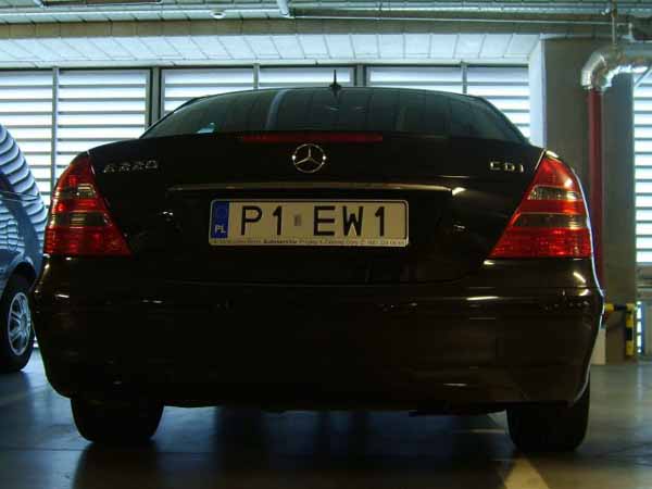 p1_ew1.jpg