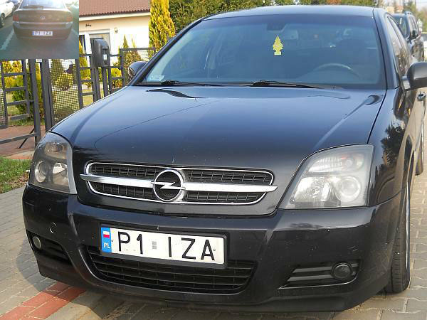 p1_iza.jpg