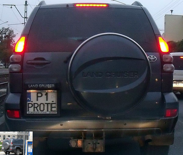 p1_prote.jpg