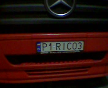 p1_rico3.jpg