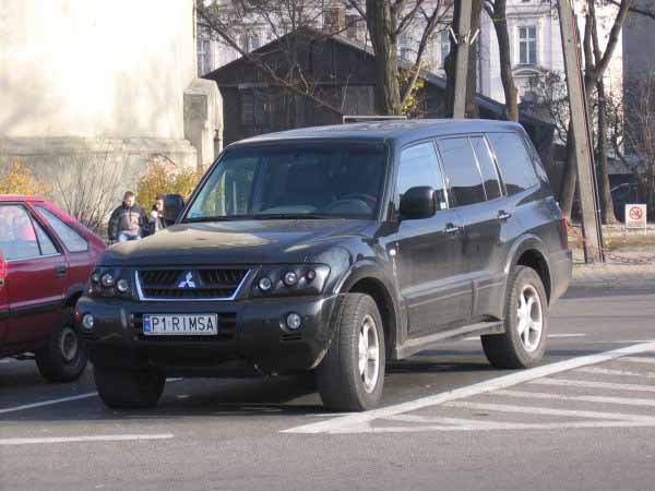 p1_rimsa.jpg
