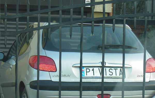 p1_vista.jpg