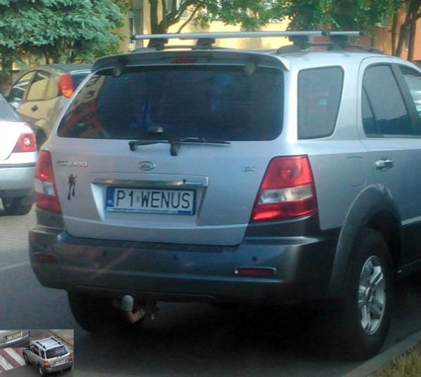 p1_wenus.jpg