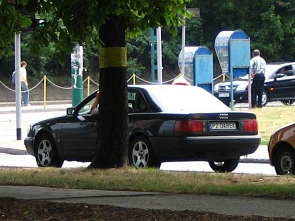 p2_darek.jpg
