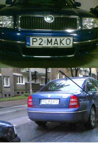 p2_mako.jpg
