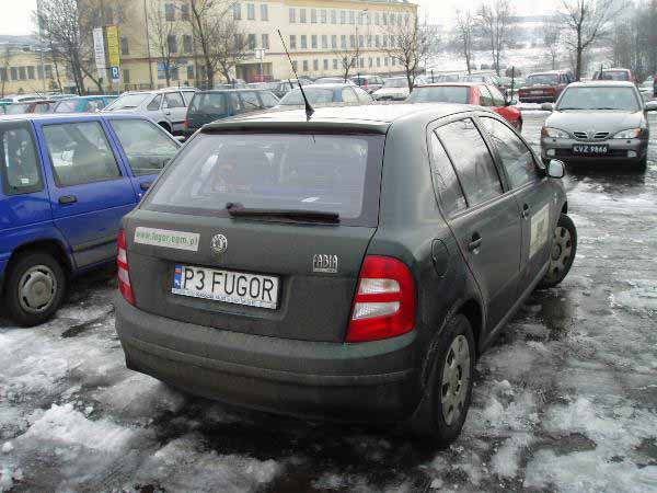 p3_fugor.jpg