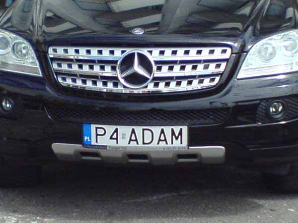 p4_adam.jpg
