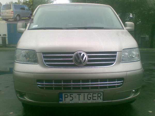 p5_tiger.jpg