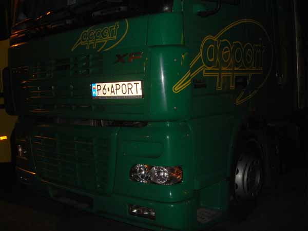 p6_aport.jpg