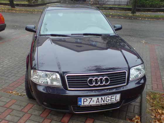 p7_angel.jpg