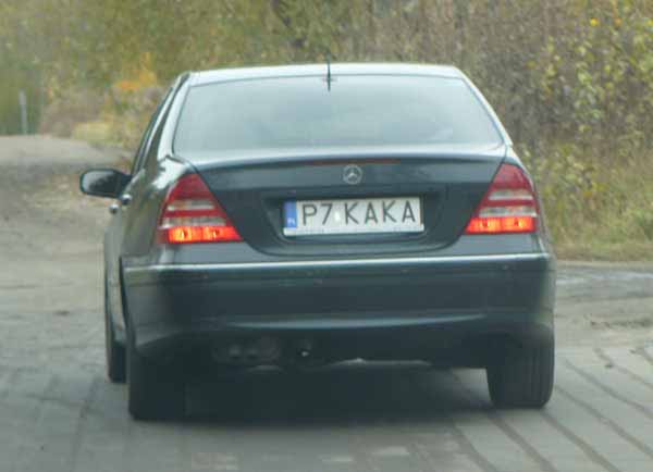 p7_kaka.jpg