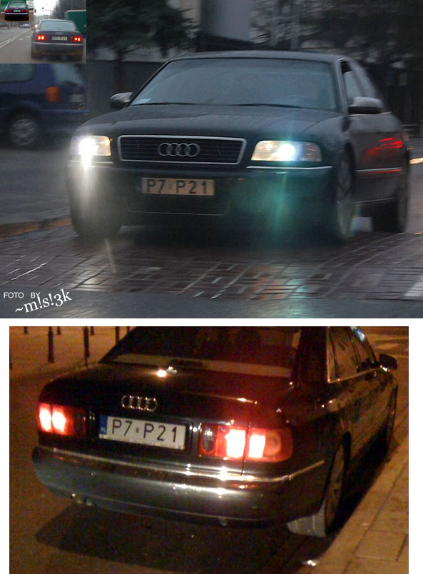 p7_p21.jpg