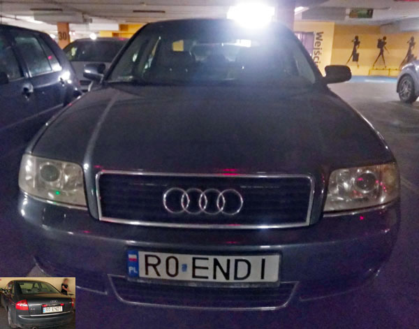 r0_endi.jpg