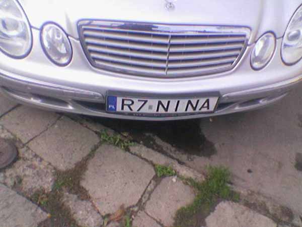 r7_nina.jpg