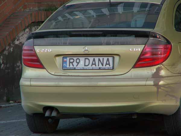 r9_dana.jpg