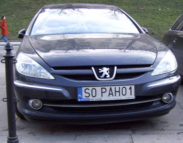 s0_pah01.jpg