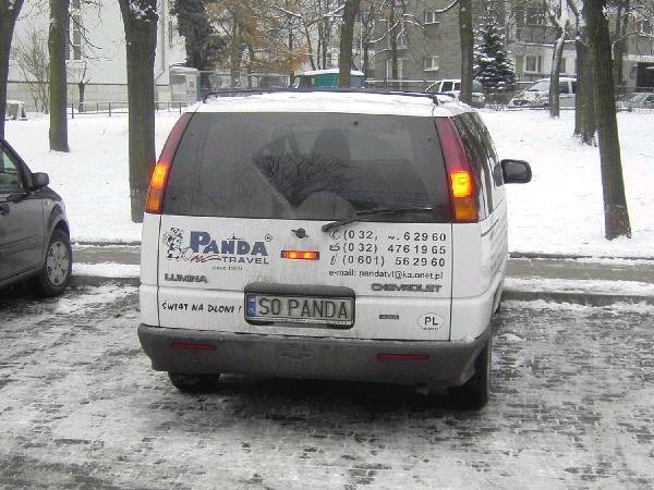 s0_panda.jpg