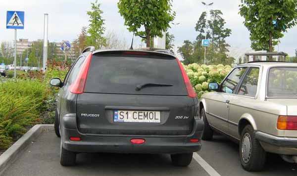 s1_cemol.jpg