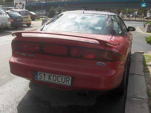 s1_kocur.jpg