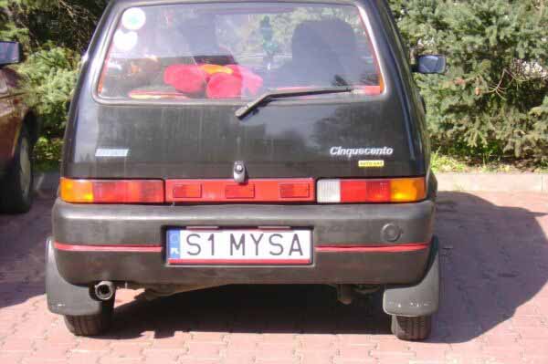 s1_mysa.jpg