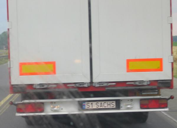 s1_sachs.jpg