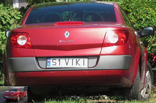 s1_viki.jpg