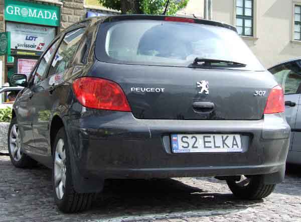 s2_elka.jpg