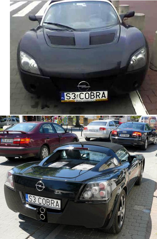 s3_cobra.jpg