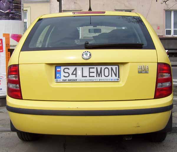 s4_lemon.jpg