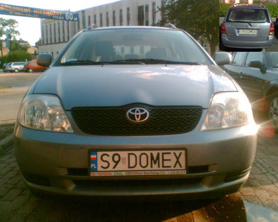 s9_domex.jpg