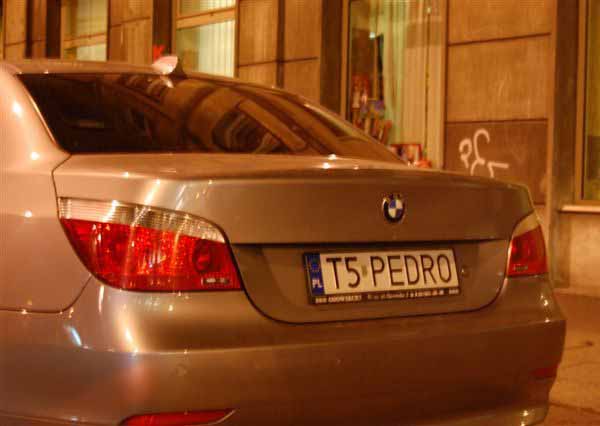 t5_pedro.jpg