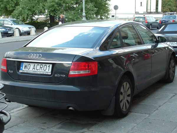 w0_acro1.jpg