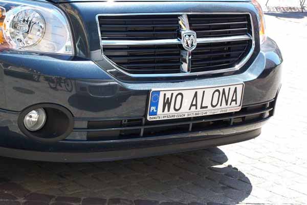 w0_alona.jpg