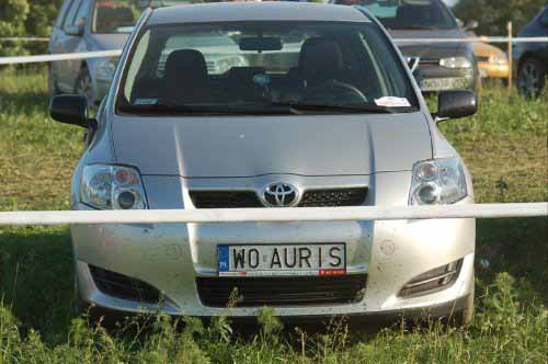 w0_auris.jpg