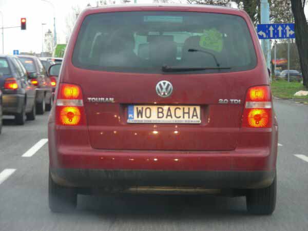 w0_bacha.jpg