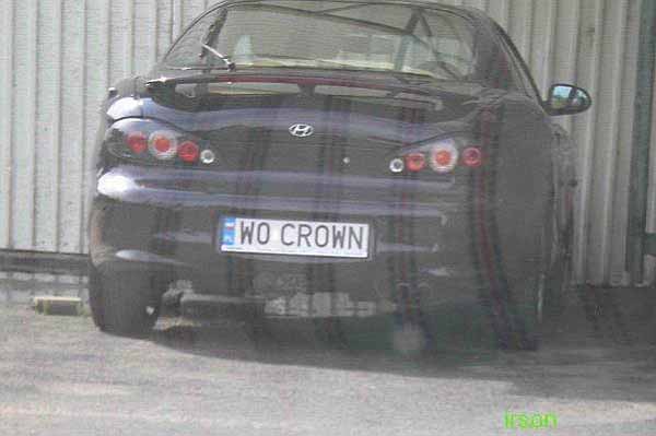 w0_crown.jpg