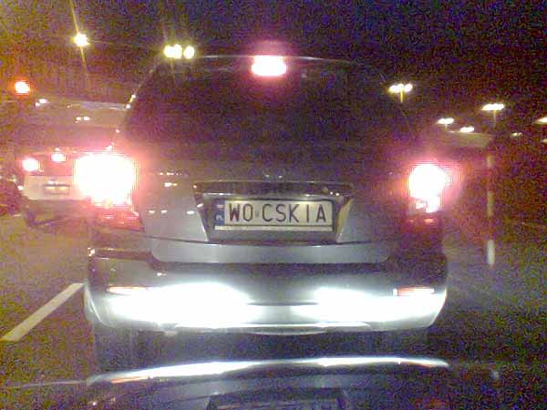 w0_cskia.jpg