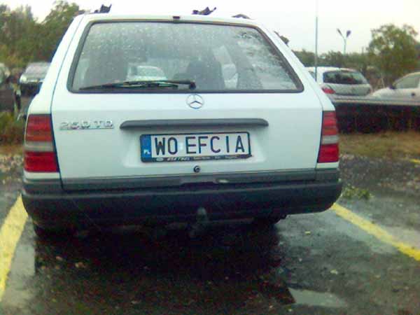 w0_efcia.jpg